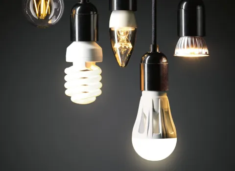 Glühbirnen in verschiedenen Formen und Helligkeitsstufen.